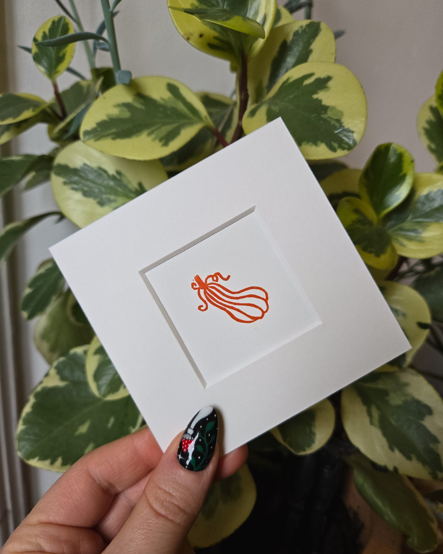 Orange Squash | 4x4 Inches