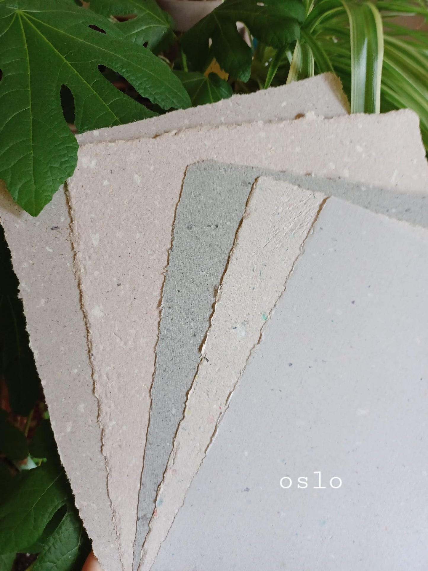 Oslo | Handmade Paper | Pack of 5