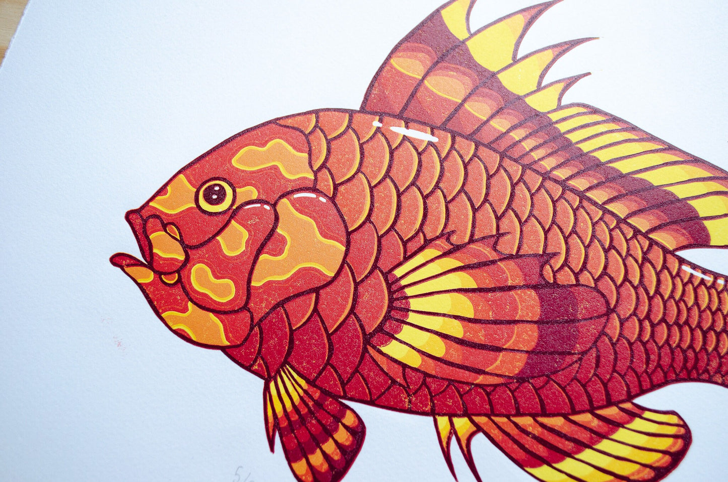 Sunset Fish | 48x31 cm