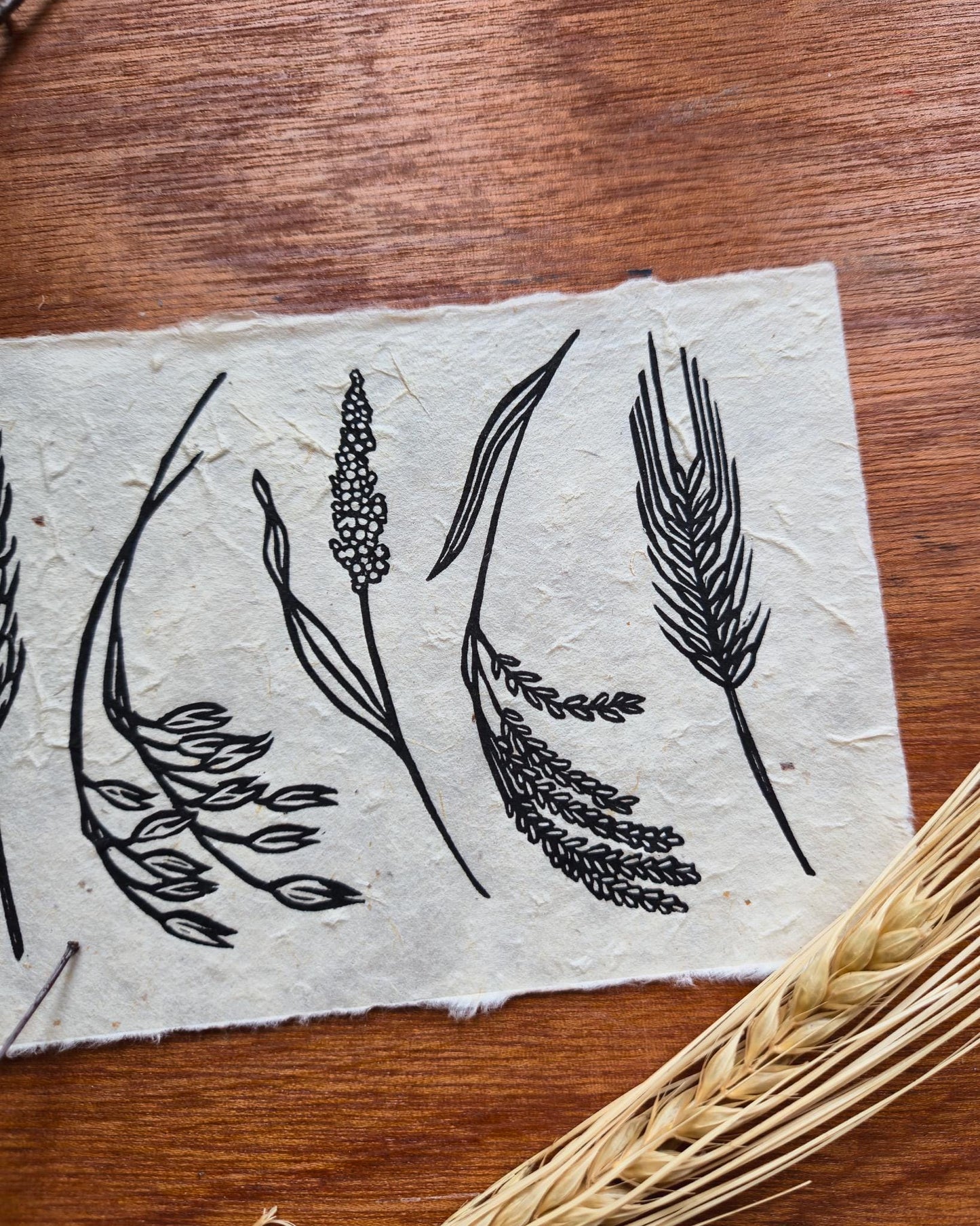 Harvest | 6x4 Inches