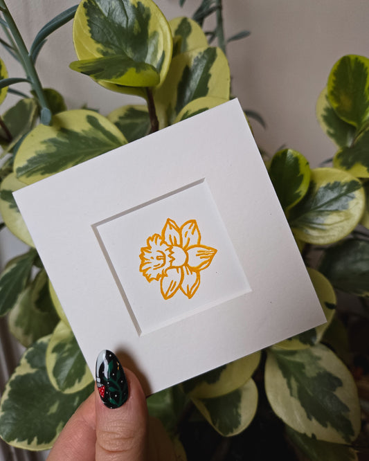 Daffodil | 4x4 Inches
