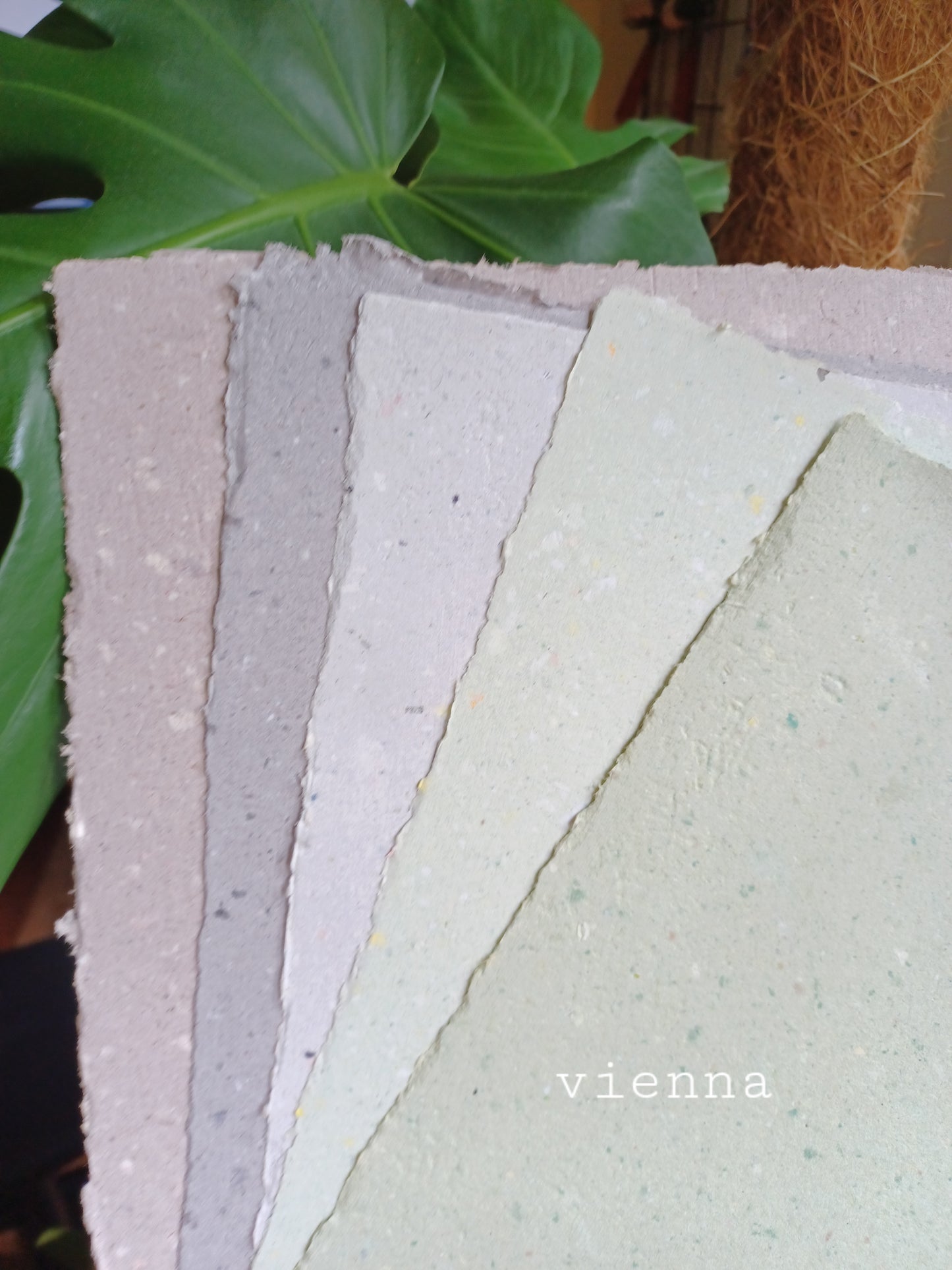 Vienna | Handmade Paper | Pack of 5