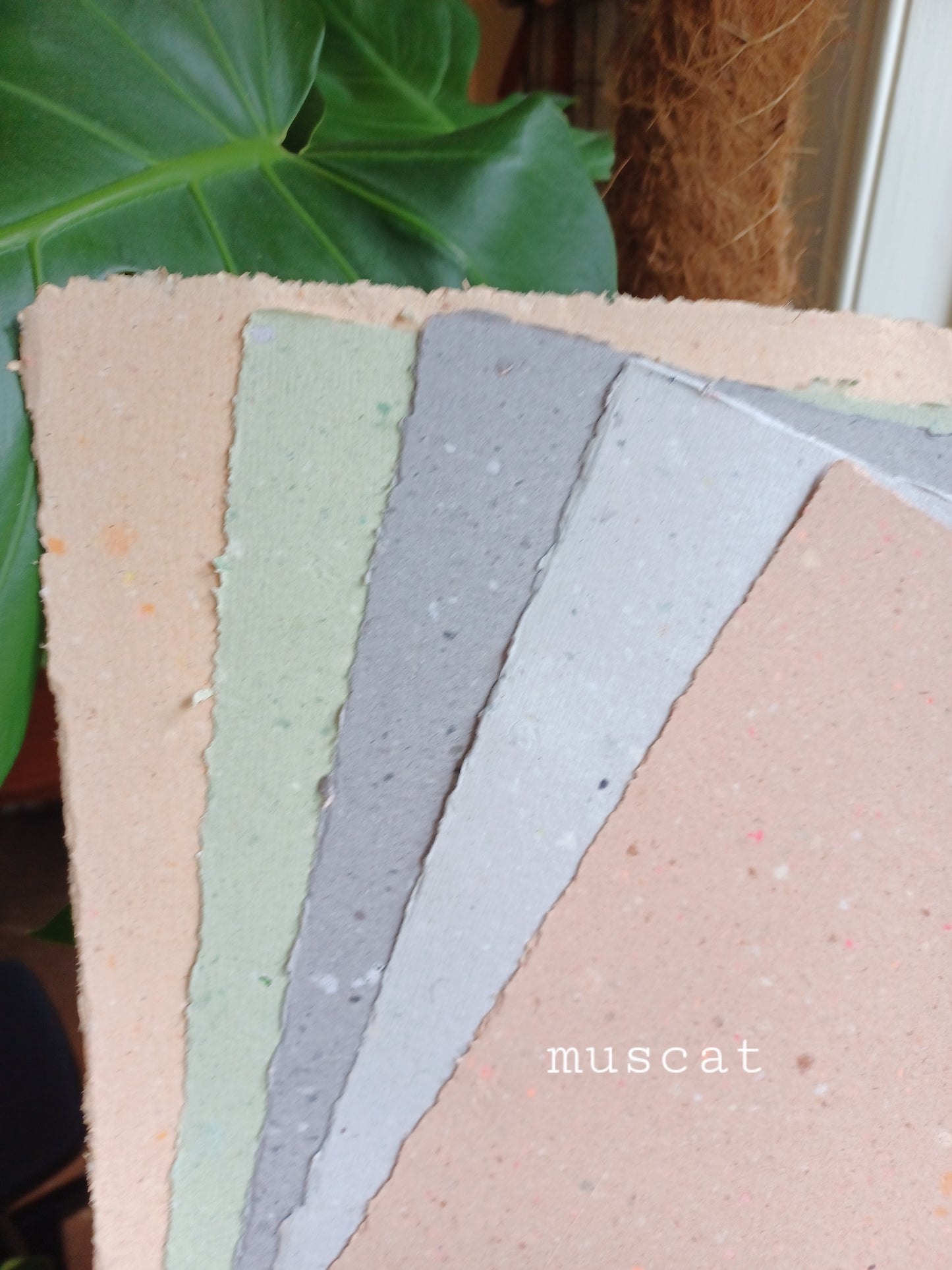 Muscat | Handmade Paper | Pack of 5