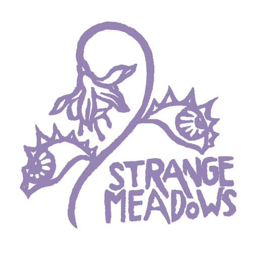 Strange Meadows