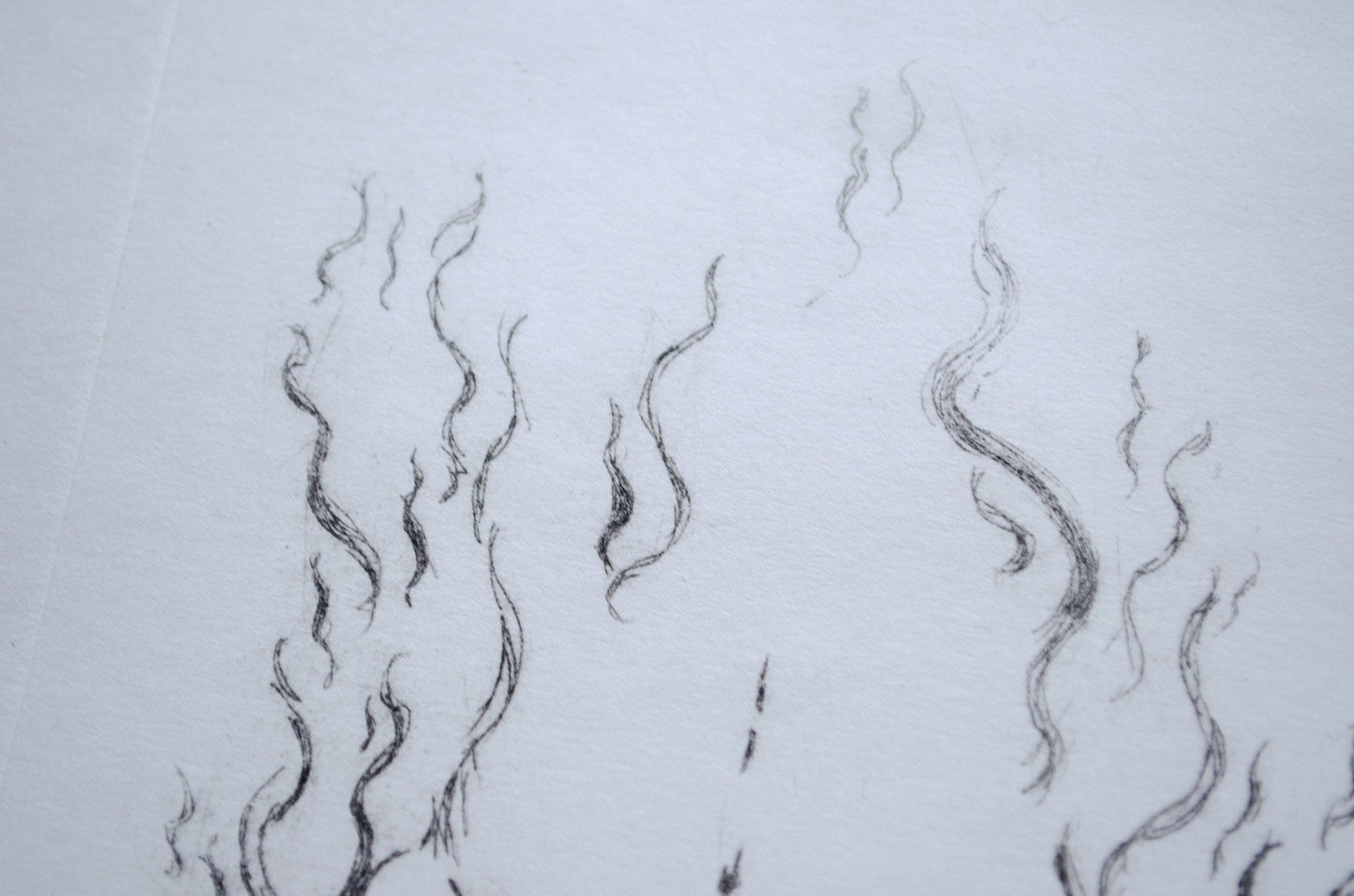 Close up of a traditional dry point etching print showing the detailed lines