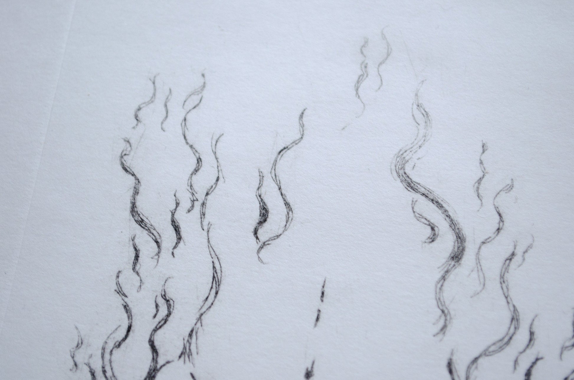 Close up of a traditional dry point etching print showing the detailed lines