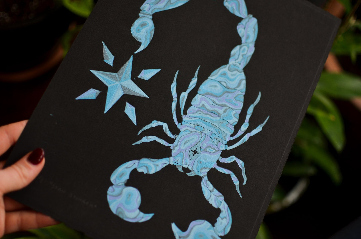 Star Stinger | 22x30 cm