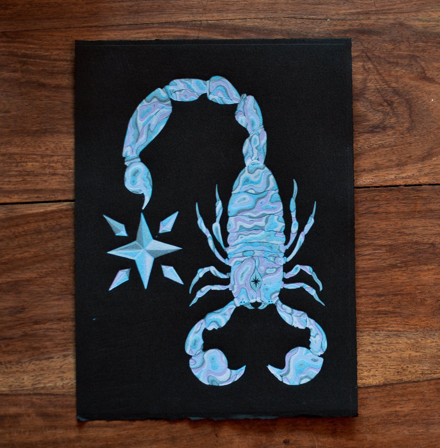 Star Stinger | 22x30 cm