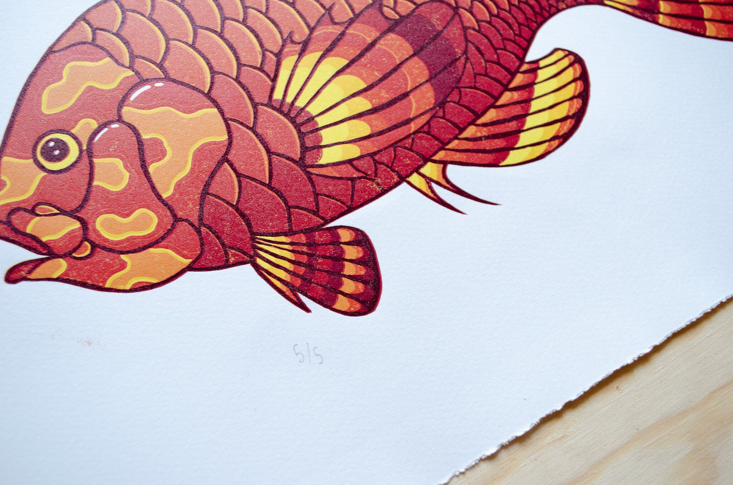 Sunset Fish | 48x31 cm