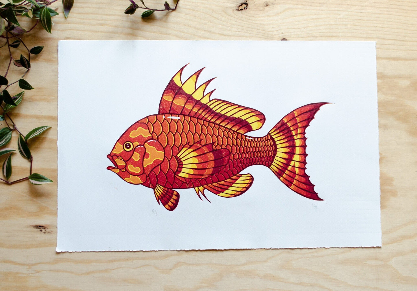 Sunset Fish | 48x31 cm