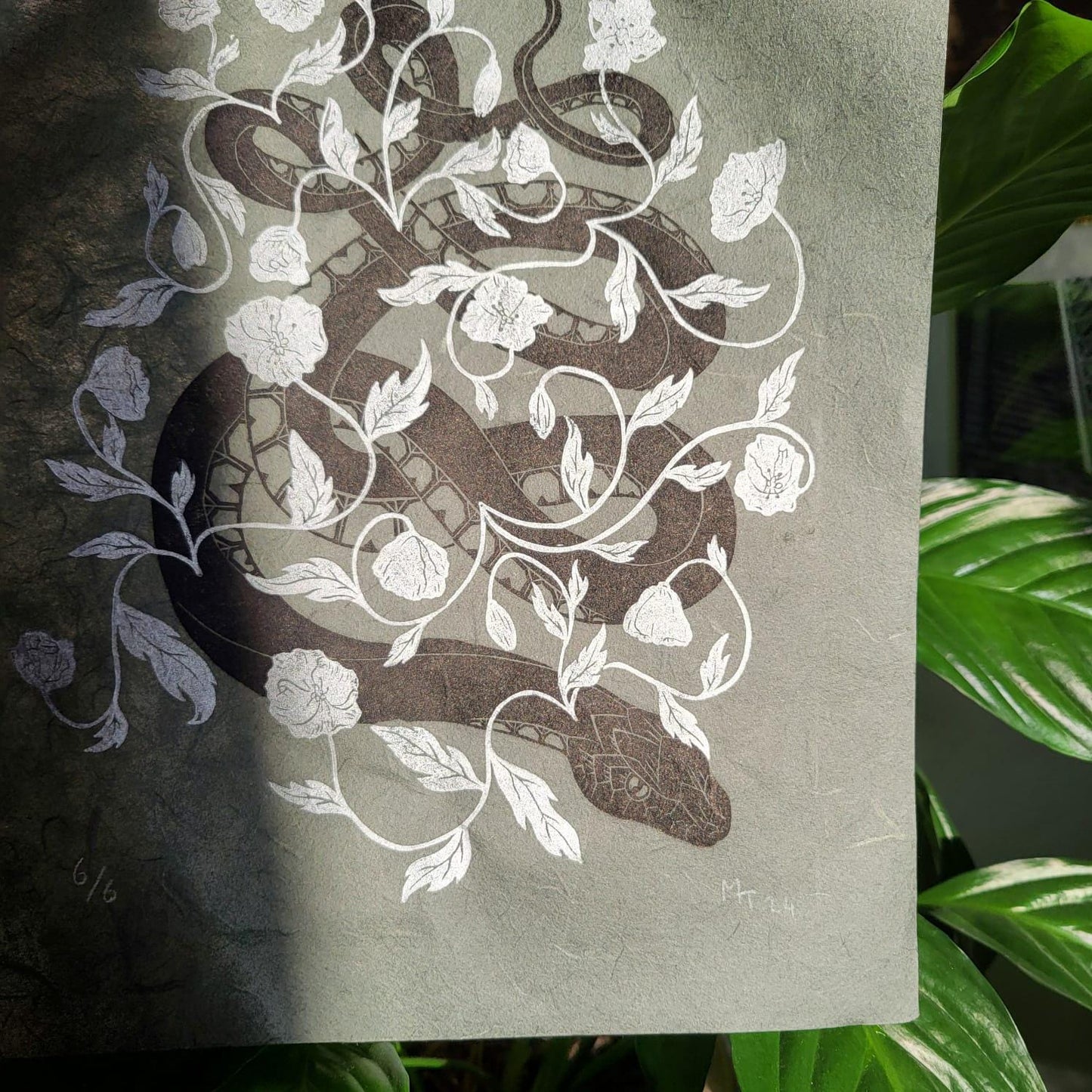 Snake and Poppies - Midnight Edition