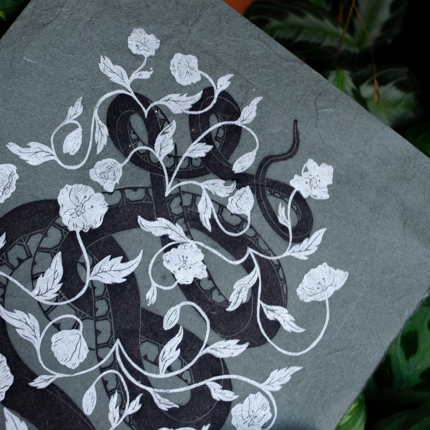 Snake and Poppies - Midnight Edition