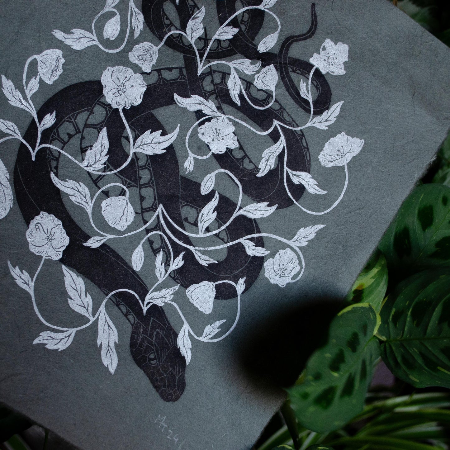 Snake and Poppies - Midnight Edition