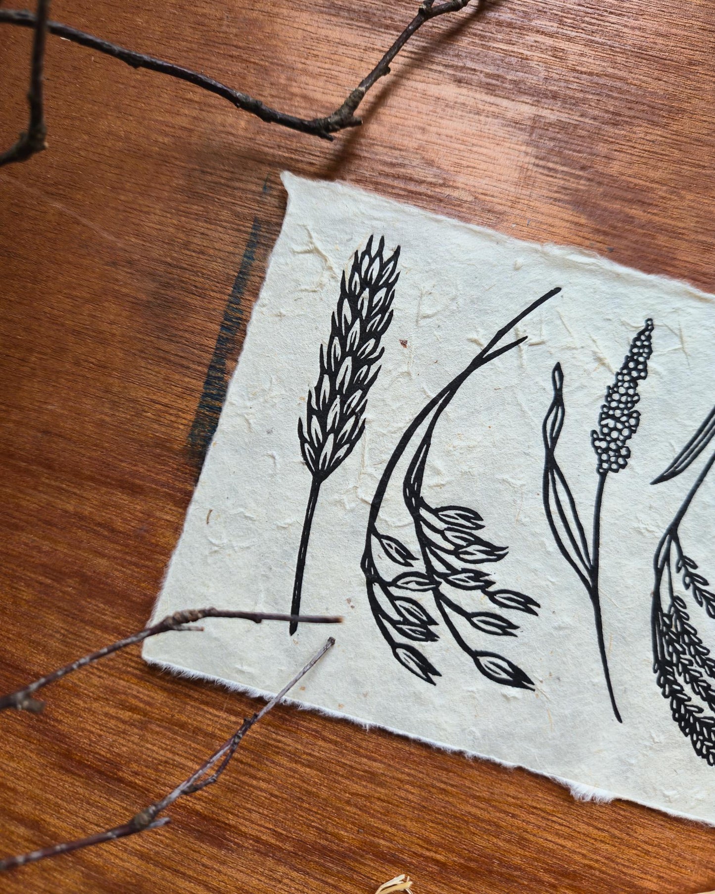 Harvest | 6x4 Inches