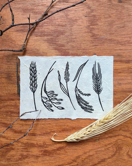 Harvest | 6x4 Inches